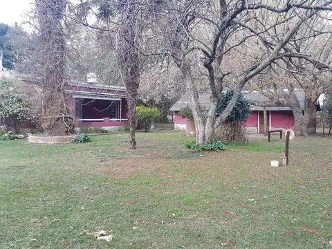 130 has Ideal cria de Caballos