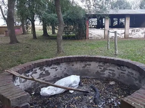 130 has Ideal cria de Caballos