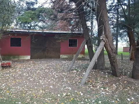 130 has Ideal cria de Caballos