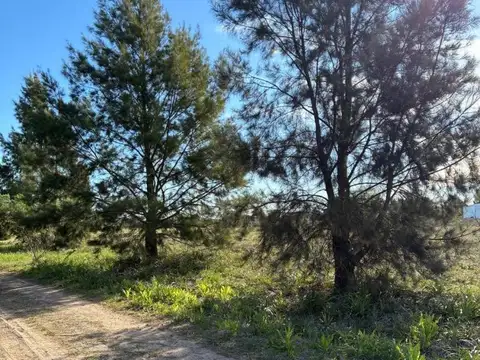 Terreno en Venta de 2006,0 m2