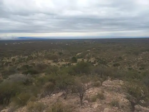 24 Hectáreas En El Recuerdo Papagayos