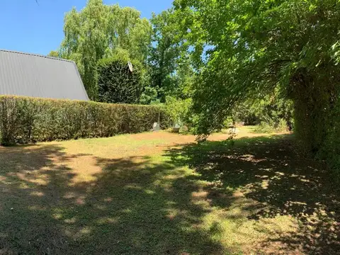 Ramón L. Falcón 1600