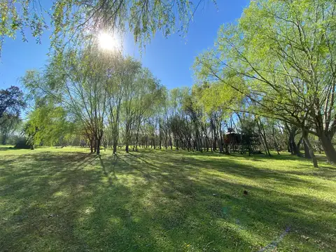 Terreno en Venta de 6000,0 m2