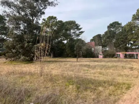 Calle Rawson entre Dante y Calcuta 100