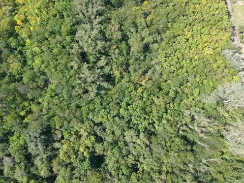 Terreno en Venta de 64113,0 m2