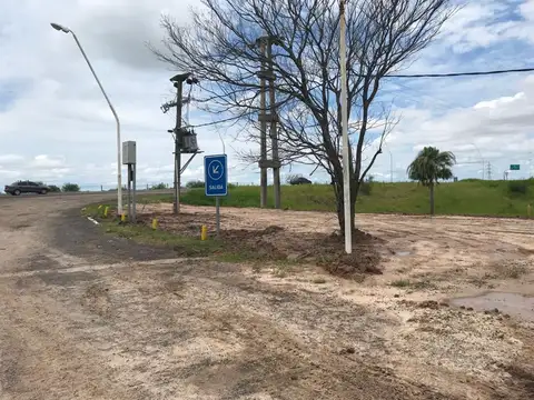 Terreno en Alquiler de 9990,0 m2