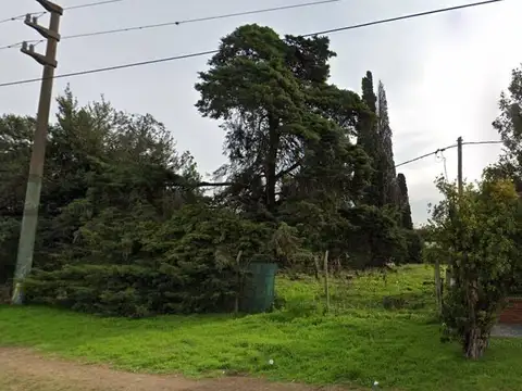 520 e/ 136 y 137 100, Piso 0