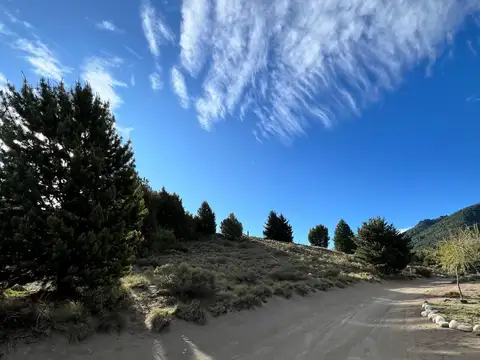 meliquina la jorgelina 100