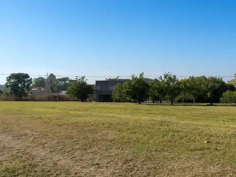 Ruta Provincial 338 100