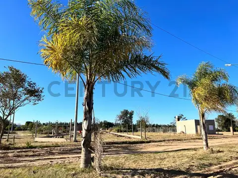 RUTA PROV Nº 1 KM 36 -  LOTE N°15 EN VENTA - SANTA ROSA DE C