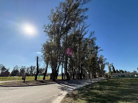 Terreno en Venta de 500,0 m2