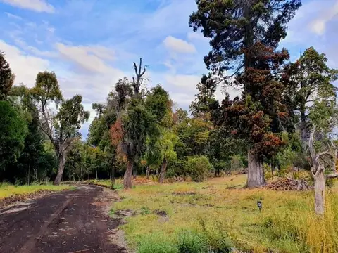 Trevelin - Venta lote en Laguna Brychan