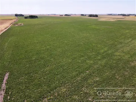 Campo mixto de 246 has en Saladillo