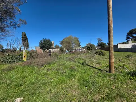 Parodi Lorenzo entre Los Granados y  Los Cerezos