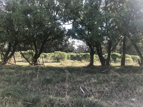 Terreno sobre Av. 58 de 300m2