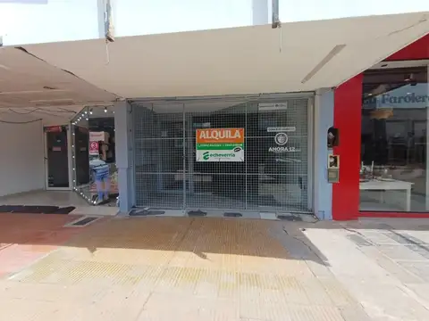 LOCALES - A LA CALLE - ZONA CENTRO, PRESIDENTE ROQUE SÁENZ PEÑA