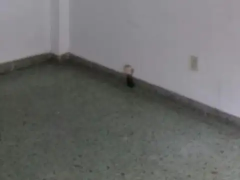 Depto Tipo Casa en Alquiler de 3 ambientes