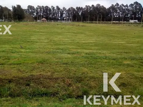 Terreno en Venta de 1250,0 m2