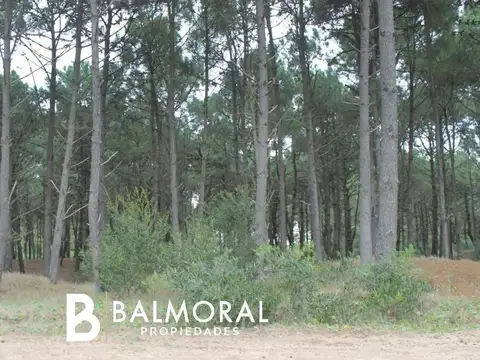 Lote en Venta - Zona Pinamar Norte / REF: 1522