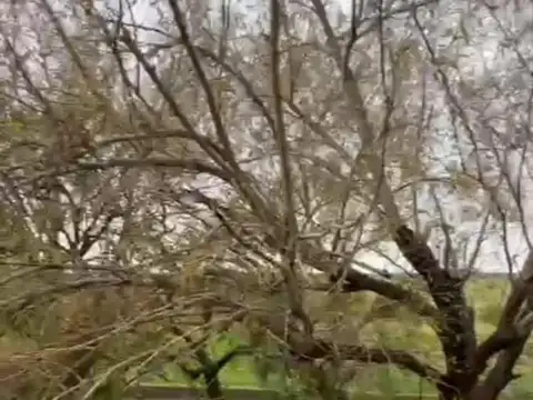 Quinta en Venta en Arroyo Leyes, USD 145.000