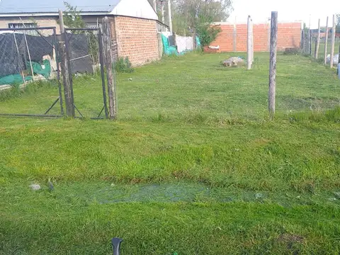 FLORENTINO AMEGHINO Y VELEZ SARSFIELD