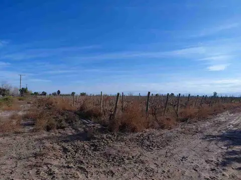 Carril Chimbas km 33