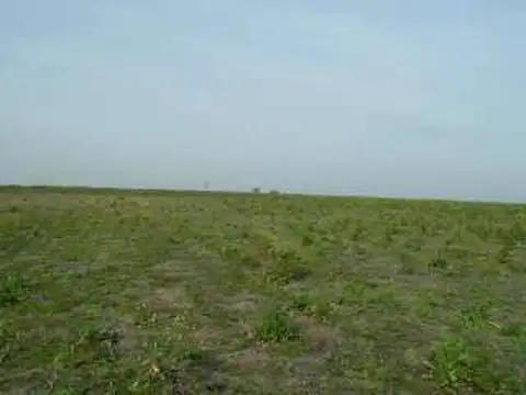 Campo en Venta Agricola