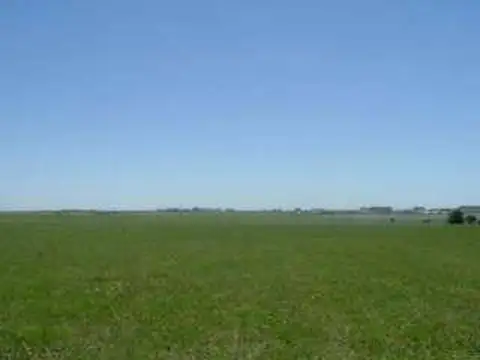 RUTA 16  c/ red de gas en tranquera entre Gualeguaychu y Larroque