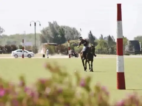 Terreno en Venta de 3925,0 m2