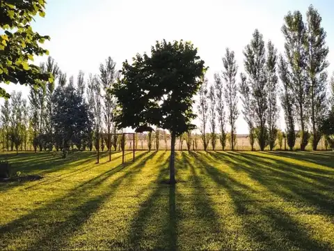Lote en Venta 3.925m2 en Chacras de La Trinidad Cañuelas