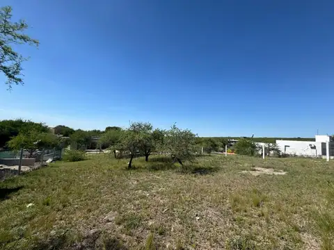 Rodríguez Peña 100