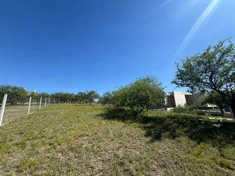 Rodríguez Peña 100