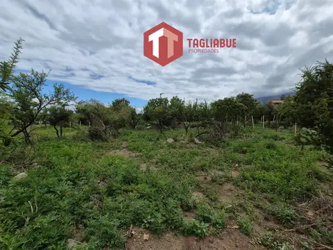 Terreno en Venta en Barranca Arriba, USD 42.000