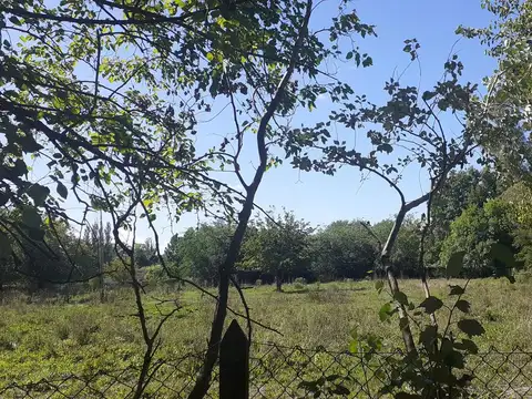 Terreno en Venta de 2004,0 m2