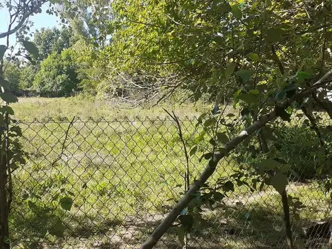 Terreno - Villa Elisa