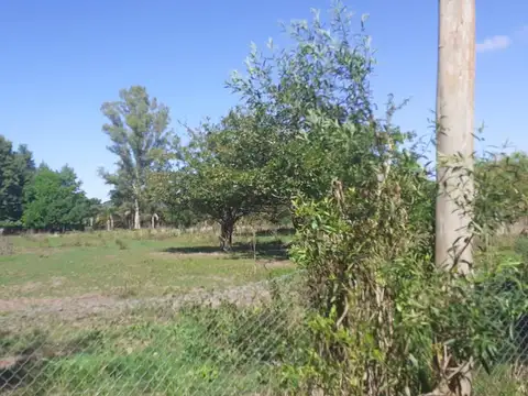 Terreno en Venta 44  mts Fondo