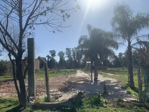 Terreno - Cesar Diaz - Mzn 77B Lote 1O - Loteo San Felipe