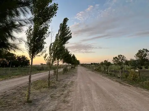 Campo en Venta con Alambrado