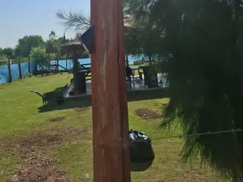 Benjamin Matienzo 600