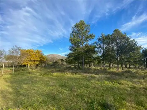 PROPIEDADES RURALES - CHACRA - PIRIÁPOLIS