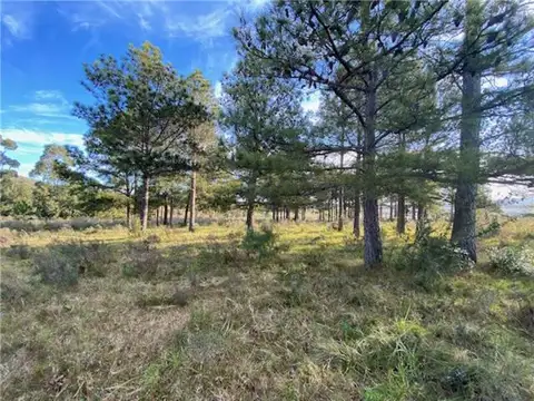 Campo en Venta de 12  ha