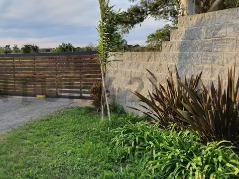 Montevideo Entre 71 y 72 , Piso 0