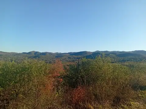 Campo en Venta Mixto