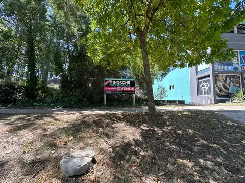 Espora entre Andes y Giachino