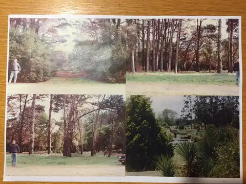 Ruta nº 11 km 483 ( mar chiquita)