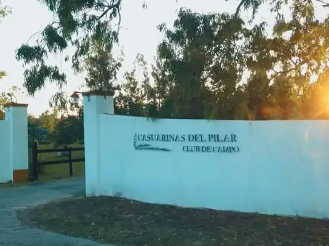 Casuarinas del Pilar 100