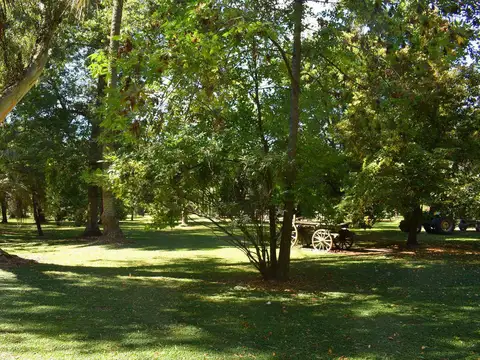 Terreno en Venta de 5000,0 m2