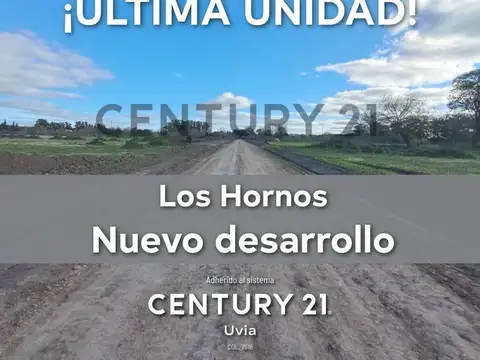 TERRENO EN VENTA 12X24 CEREZOS 2