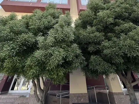 Oficina en Venta en Comodoro Rivadavia, USD 138.000