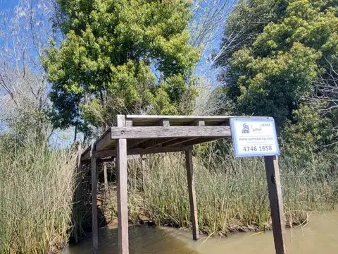 Rio / Arroyo Paraná Miní 100